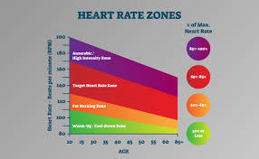 Heart Rate Zones